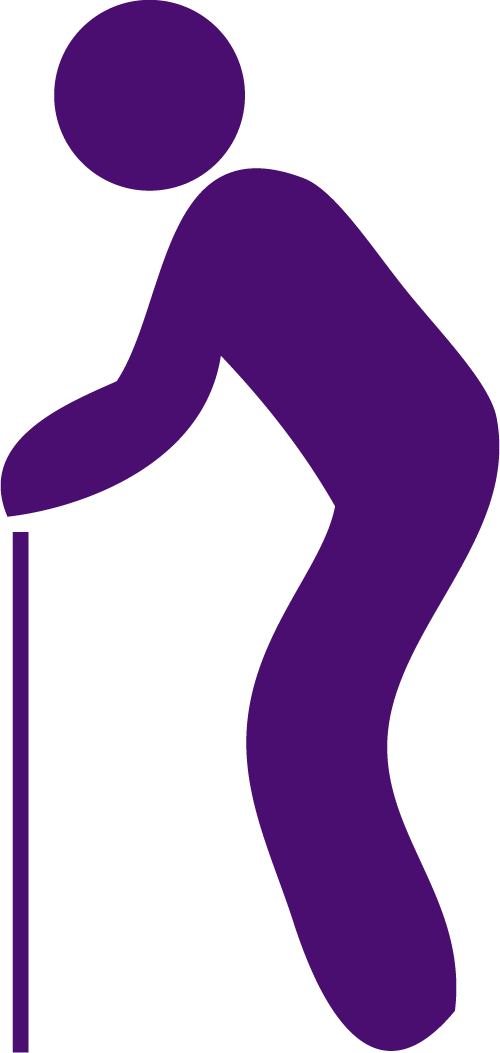 frame icon